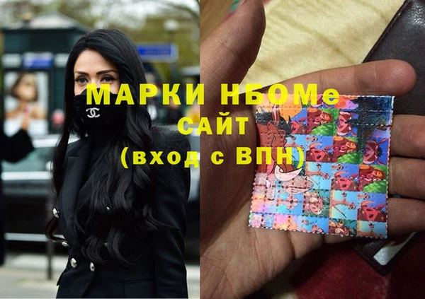 стаф Вязники