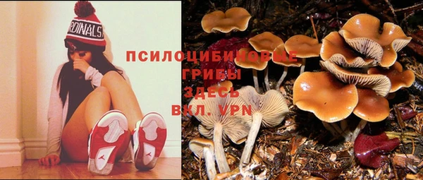 бошки Вяземский