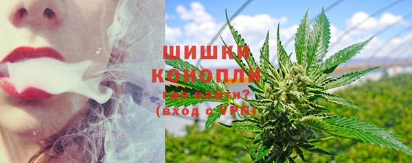 стаф Вязники