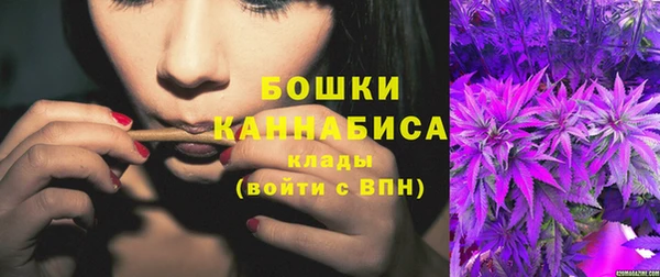 стаф Вязники