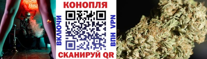 Купить  Заозёрный  Канабис Amnesia 